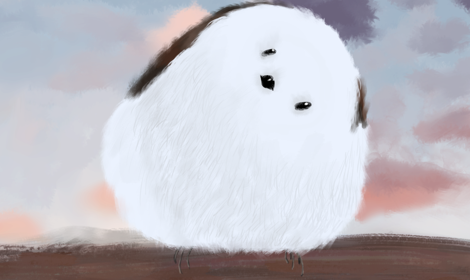 Bird Drawing